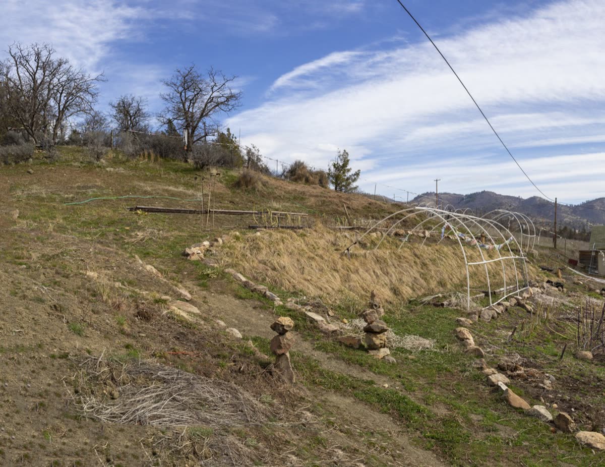 Daylight photograph of a terraced hillside planting with dry-stacked stone edging and a bare hoop frame