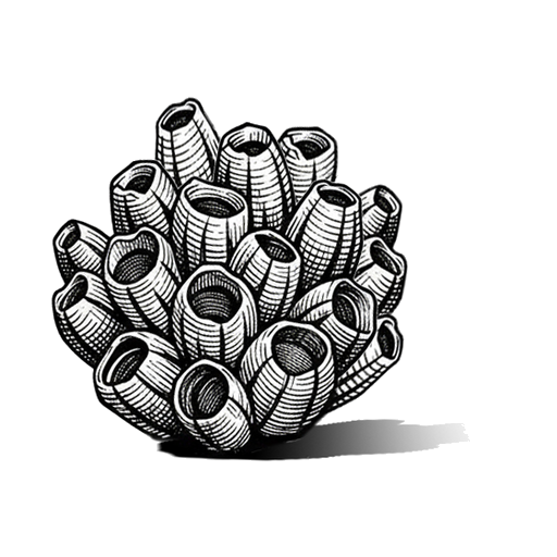 Barnicle Productions logo